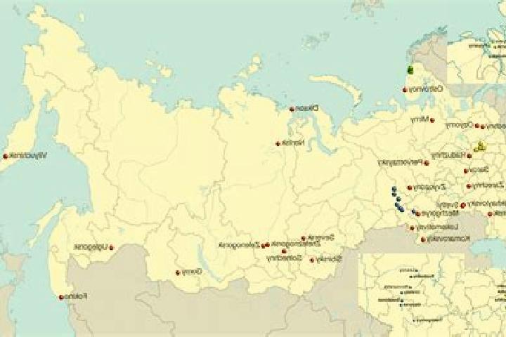 Aurora, 39 — Escort in Kizema, Russia