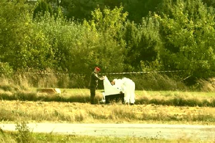 Aurora, 39 — Escort in Mniszkow, Poland