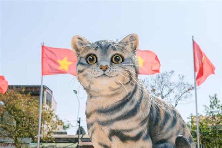 Aurora, 39 — Escort in Na Meo, Vietnam