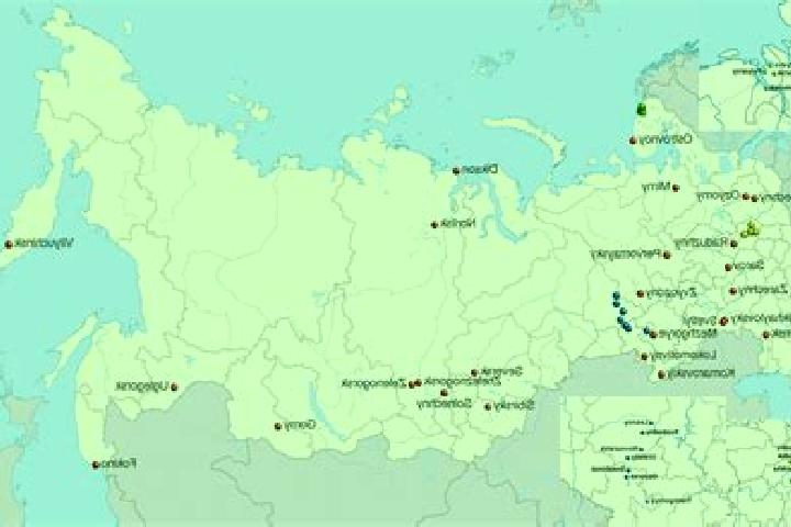 Aurora, 39 — Escort in Novokharitonovo, Russia