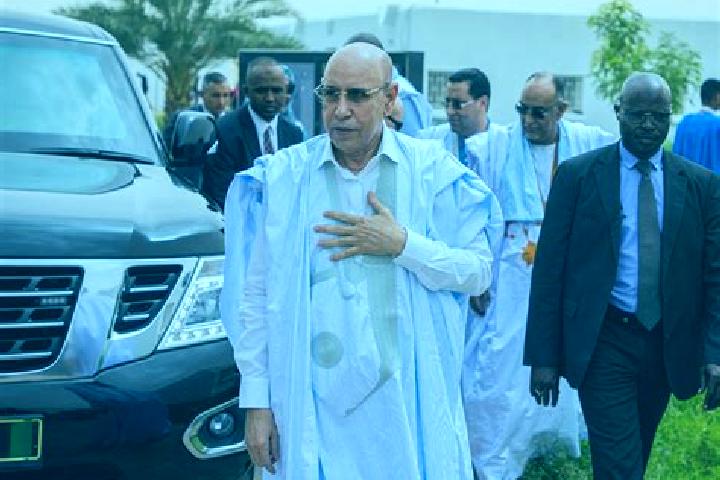 Aurora, 39 — Escort in Ould Yenje, Mauritania