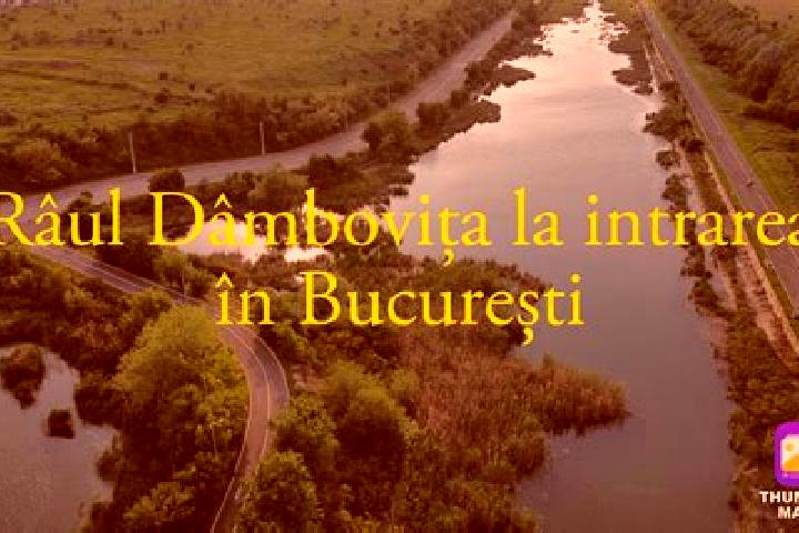 Aurora, 39 — Escort in Rau Alb de Sus, Romania