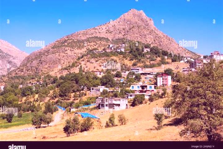 Aurora, 39 — Escort in Sirnak, Turkey