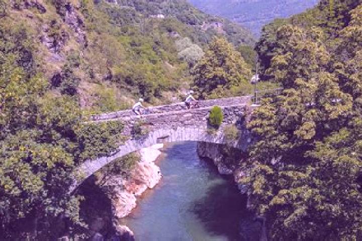 Aurora, 39 — Escort in Vezza d Alba, Italy