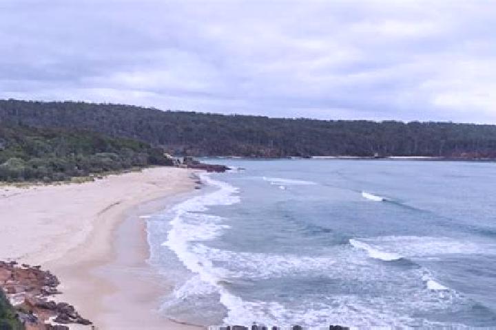 Ava, 20, a blonde amber-eyed latina companion based in Pambula Beach. Offering Domination, Girlfriend Experience, Massage, 69. Available for incall and outca...