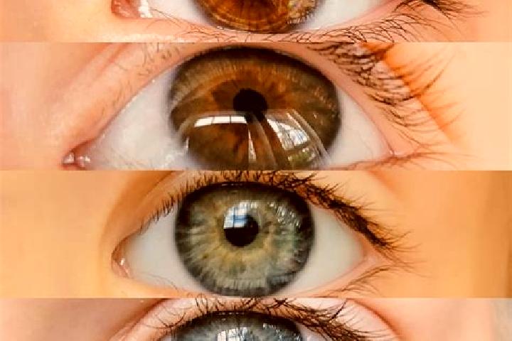 Ava, 20, a chestnut dark-eyed mixed companion based in Hiawassee. Offering GFE, Erotic Massage, Deep French Kissing, Domination. Available for incall and out...