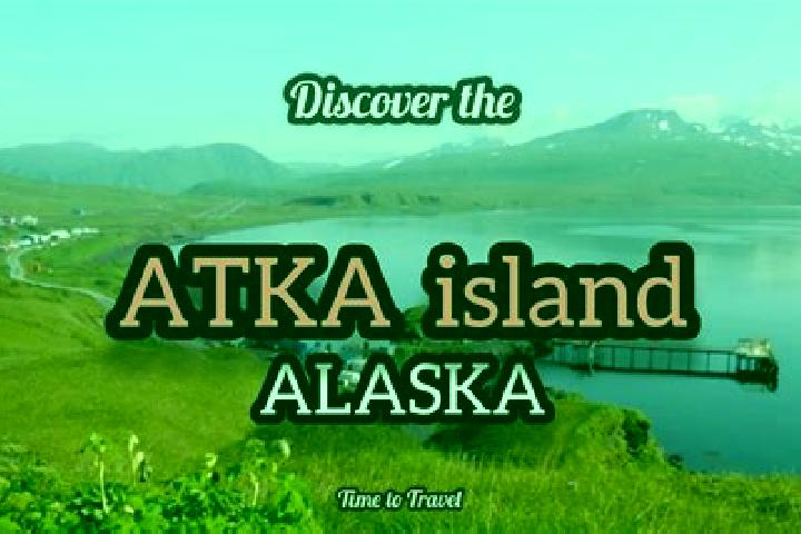 Ava, 20 — Escort in Atka, Russia