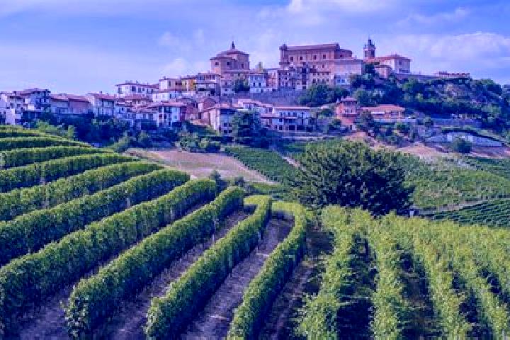 Ava, 20 — Escort in Frassinello Monferrato, Italy