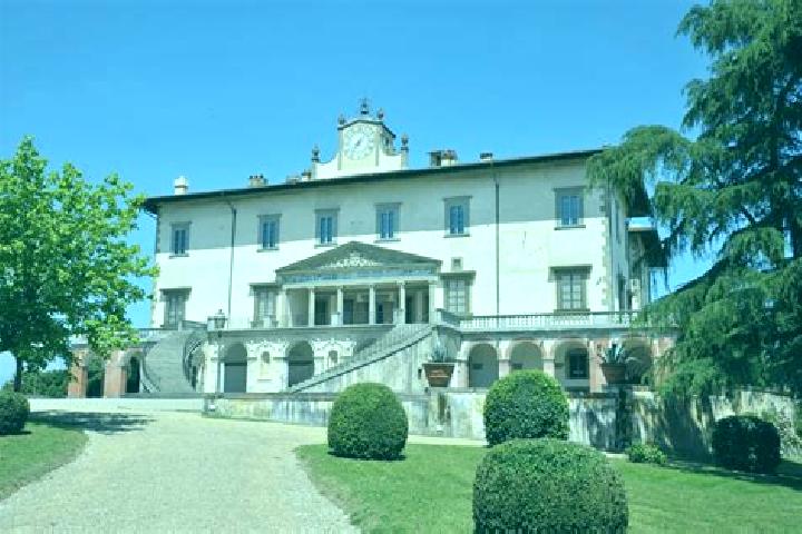 Ava, 20 — Escort in Poggio A Caiano, Italy