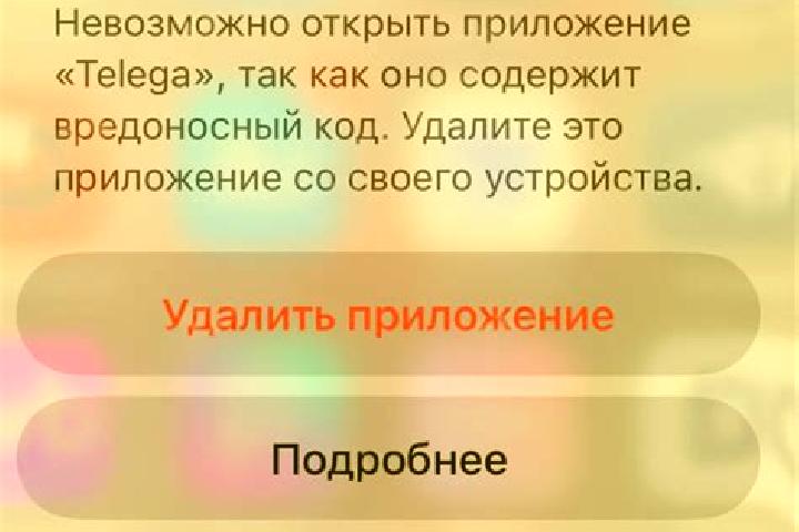 Ava, 20 — Escort in Telega, Romania