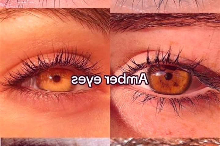 Ava, 21, a brunette amber-eyed caucasian companion based in East Rochester. Offering Deep French Kissing, Tantra, Roleplay. Available for incall and outcall,...