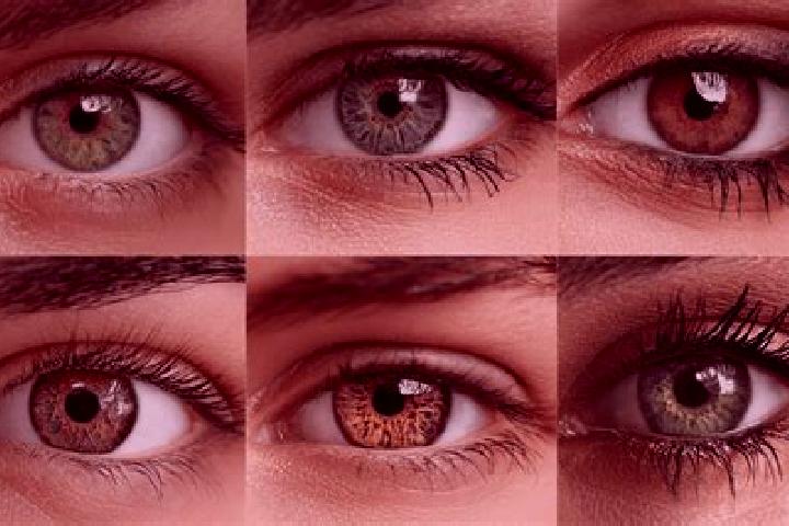 Ava, 21, a red hazel-eyed caucasian companion based in Magugu. Offering Striptease, Erotic Massage, GFE, CIM. Available for incall and outcall, overnight boo...