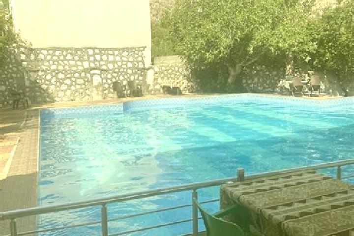 Ava, 21 — Escort in Damlacik, Turkey