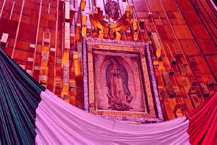 Ava, 21 — Escort in Ex-Vinedos Guadalupe, Mexico