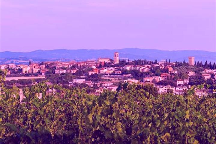 Ava, 21 — Escort in Torgiano, Italy