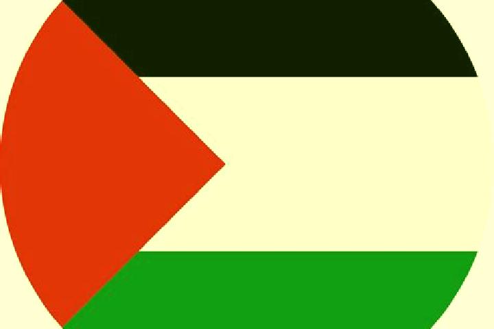 Ava, 21 — Escort in Zayta, Palestine
