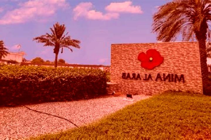 Ava, 22 — Escort in Al Mahbulah, Kuwait