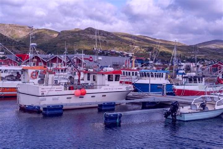 Ava, 22 — Escort in Batsfjord, Norway