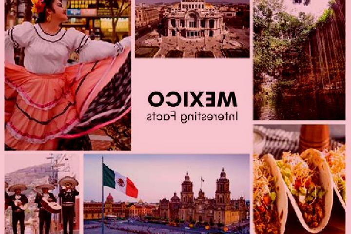 Ava, 22 — Escort in Bechijtic, Mexico