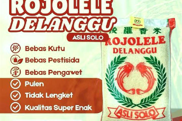 Ava, 22 — Escort in Delanggu, Indonesia