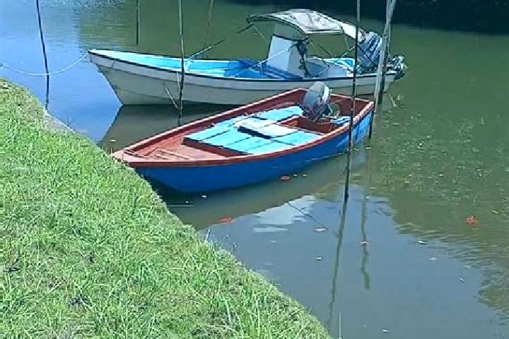 Ava, 22 — Escort in Mengellang, Palau