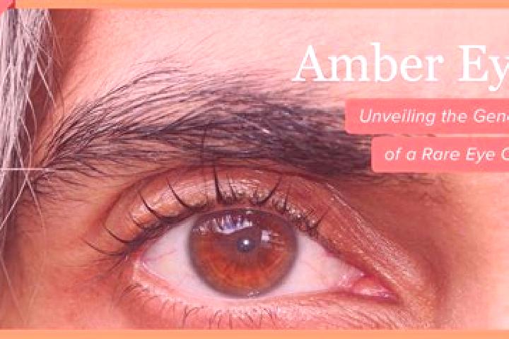 Ava, 23, a black amber-eyed european companion based in Saphane. Offering Fetish, Couples, Travel Companion. Available for incall and outcall, day and evenin...