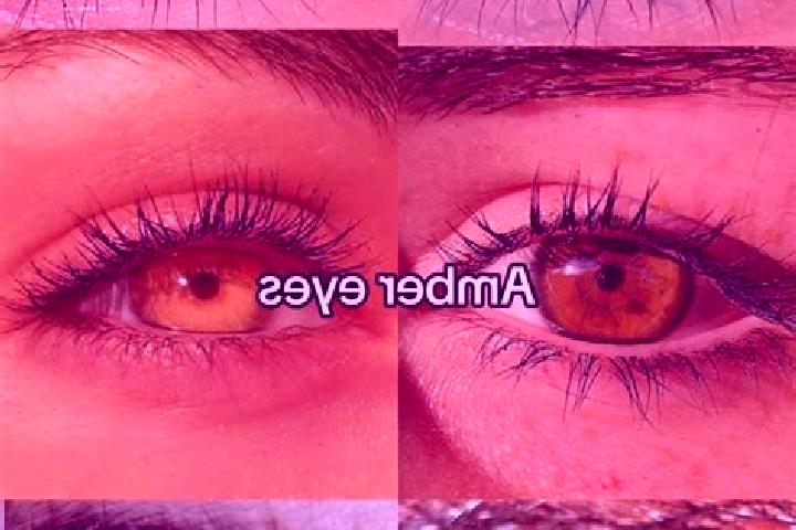 Ava, 23, a chestnut amber-eyed european companion based in Passirano. Offering Erotic Massage, Duos, Girlfriend Experience, 69. Available for incall and outc...