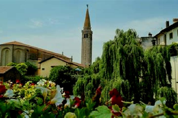 Ava, 23 — Escort in Cavolano-Schiavoi, Italy