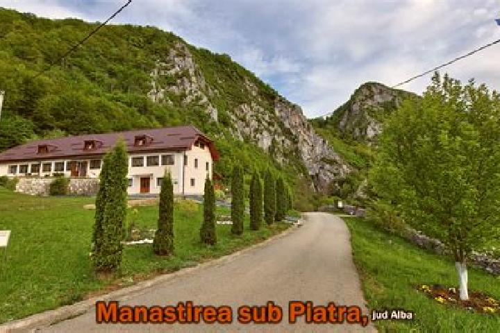 Ava, 23 — Escort in Cebza, Romania