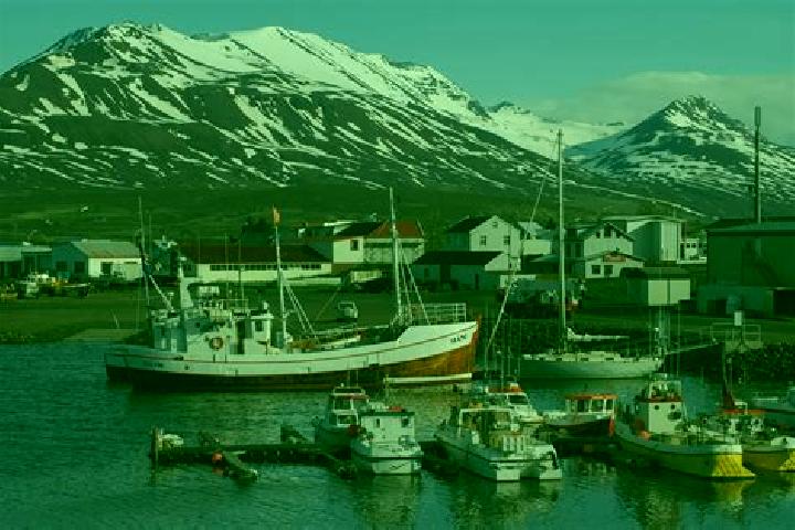 Ava, 23 — Escort in Dalvik, Iceland