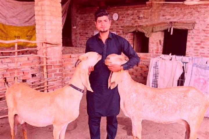 Ava, 23 — Escort in Kot Radha Kishan, Pakistan