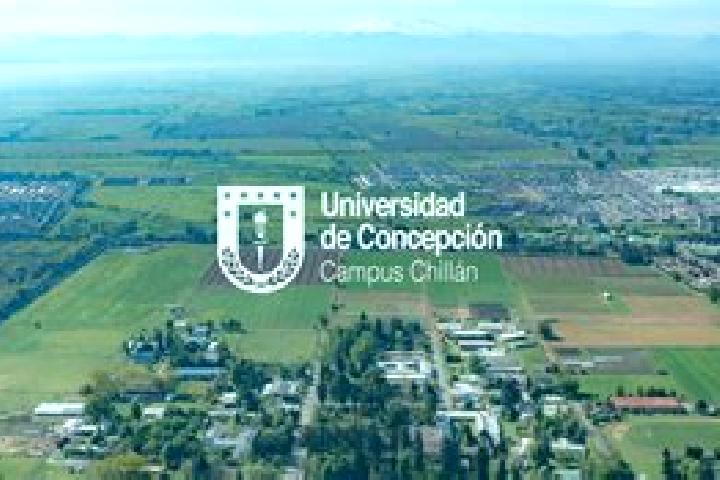 Ava, 23 — Escort in La Concepcion de Hidalgo, Mexico
