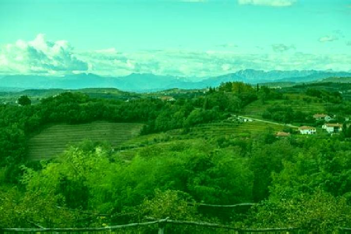 Ava, 23 — Escort in San Floriano del Collio, Italy