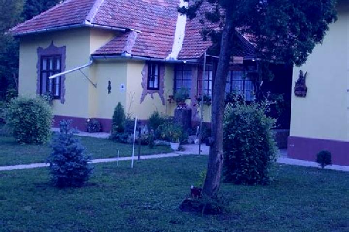 Ava, 23 — Escort in Szegvar, Hungary