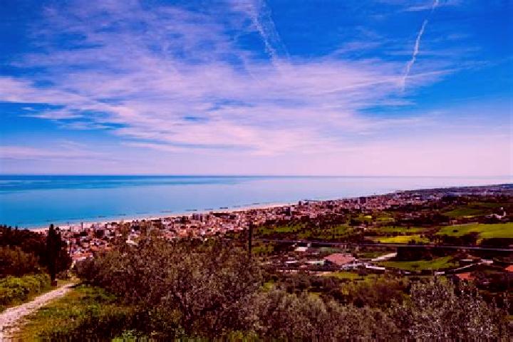 Ava, 23 — Escort in Tione degli Abruzzi, Italy