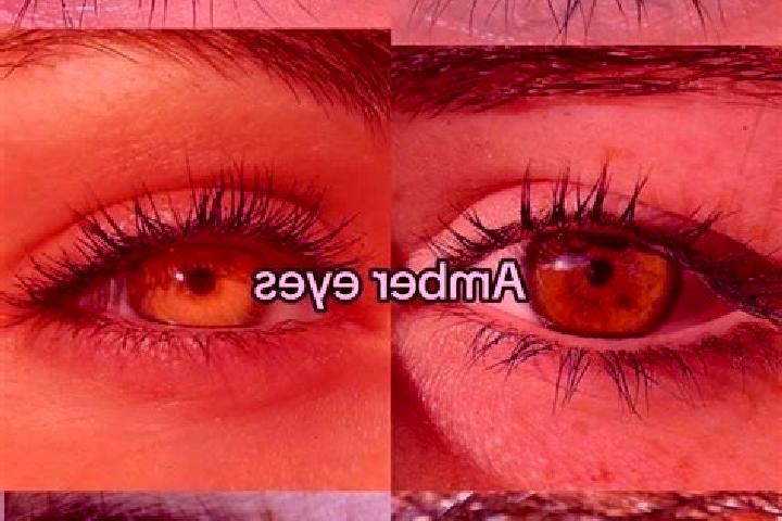 Ava, 24, a chestnut amber-eyed european companion based in Wattleglen. Offering Girlfriend Experience, Domination, A-Level. Available for incall and outcall,...