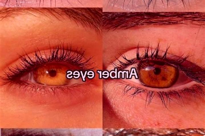 Ava, 24, a chestnut amber-eyed indian companion based in Shangyong. Offering Fetish, 69, Duos. Available for incall and outcall, overnight bookings available.