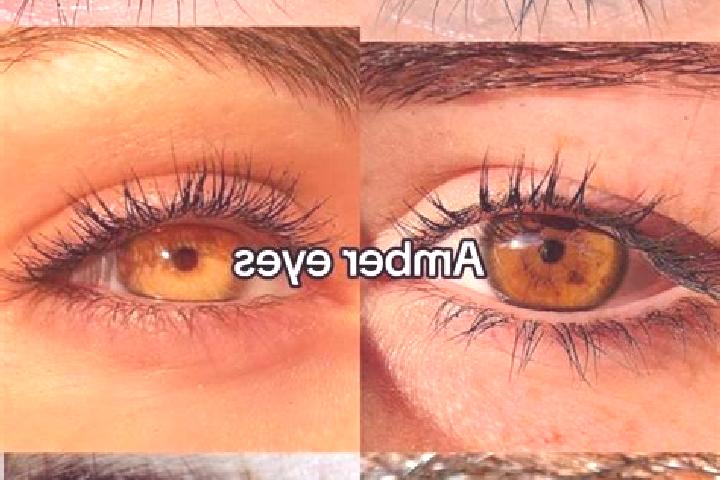 Ava, 24, a chestnut amber-eyed middle eastern companion based in Bau. Offering A-Level, Duos, GFE, Dinner Date, Tantra. Available for incall and outcall, day...