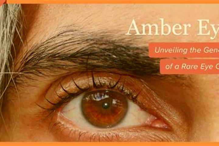 Ava, 24, a red amber-eyed mixed companion based in Sirkovo. Offering GFE, Domination, Striptease, Roleplay, Girlfriend Experience. Available for incall and o...