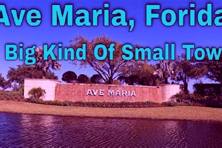 Ava, 24 — Escort in Ave Maria, United States