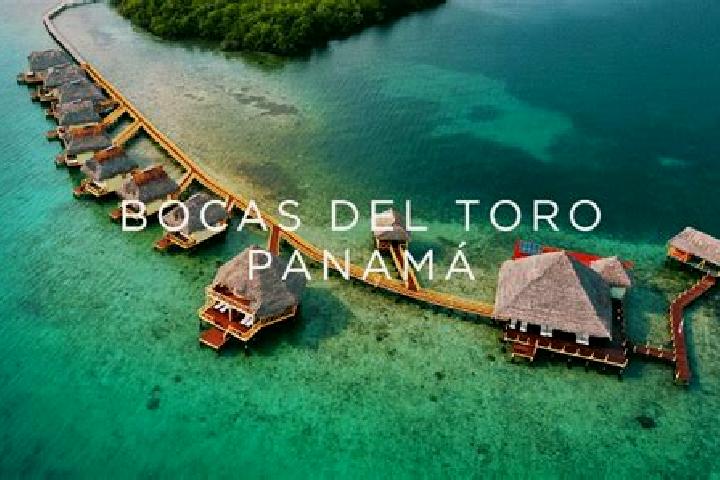 Ava, 24 — Escort in Bocas del Toro, Panama