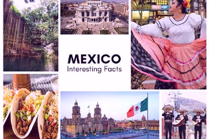 Ava, 24 — Escort in Poligonos, Mexico
