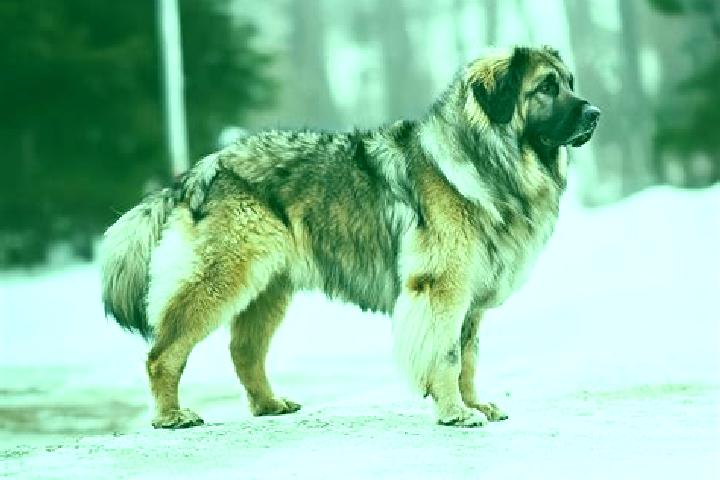 Ava, 25, a black grey-eyed caucasian companion based in Kolo. Offering Travel Companion, OWO, Deep French Kissing, Party Girl. Available for incall and outca...
