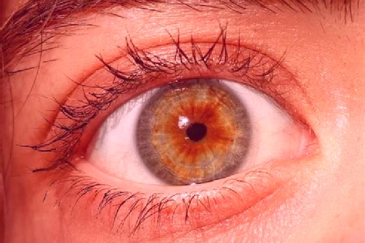 Ava, 25, a red hazel-eyed mediterranean companion based in Tumxuk. Offering Deep French Kissing, Travel Companion, A-Level, Domination, 69. Available for inc...