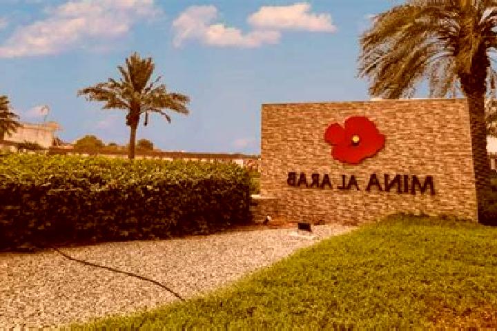 Ava, 25 — Escort in Al Araqa, Palestine