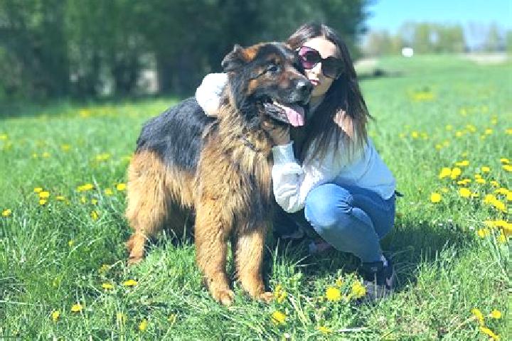 Ava, 25 — Escort in Cycow, Poland