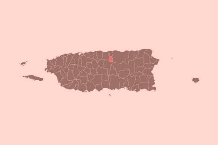 Ava, 25 — Escort in Estancias de Florida, Puerto Rico