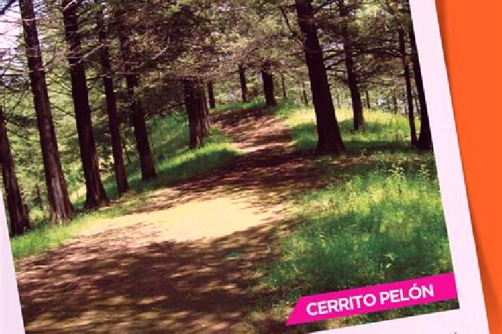 Ava, 25 — Escort in Francisco Sarabia (Cerrito Pelon), Mexico