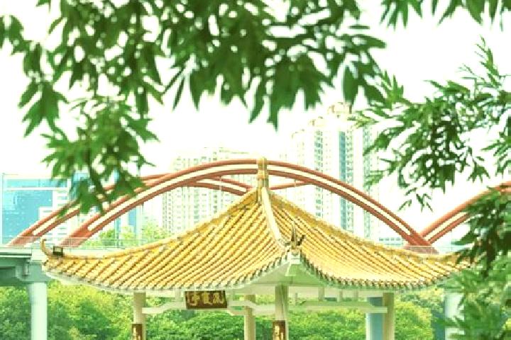 Ava, 25 — Escort in Honghu, China