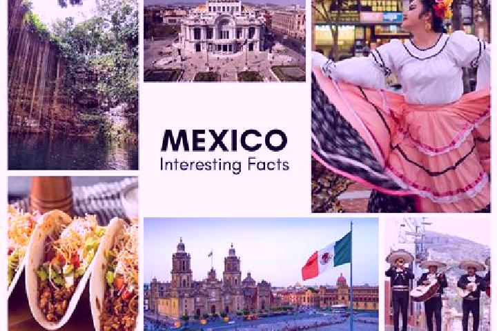 Ava, 25 — Escort in Jalapexco, Mexico
